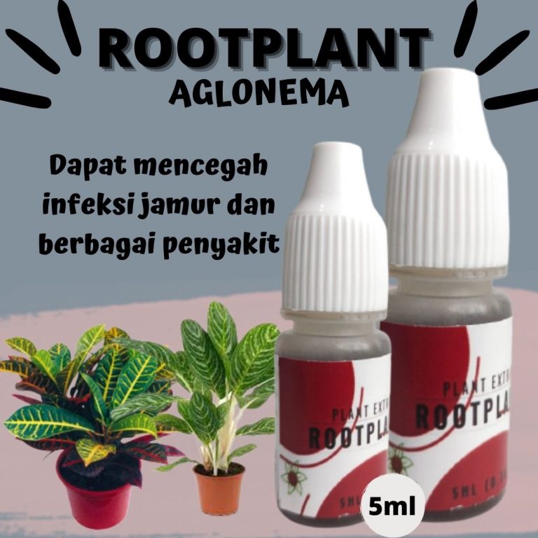 Limited, 0812-2882-4834, Distributor Pupuk Cair Untuk Aglaonema Kerinci, Harga Pupuk Daun Aglaonema Siulak, Produsen Pupuk Untuk Daun Aglaonema Merangin