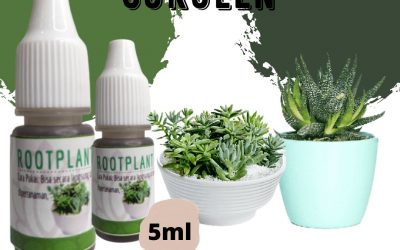 Limited, 0812-2882-4834, Distributor Pupuk Kaktus Dan Sukulen Surabaya, Harga Pupuk Kaktus Sekulen Bangkalan, Produsen Pupuk Untuk Kaktus Agar Berbunga Banyuwangi