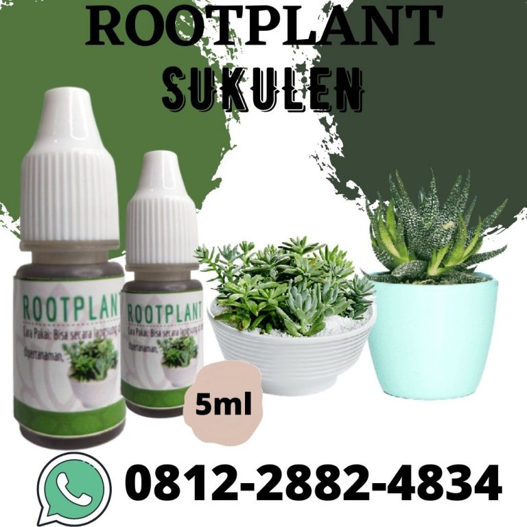 Limited, 0812-2882-4834, Distributor Pupuk Kaktus Dan Sukulen Surabaya, Harga Pupuk Kaktus Sekulen Bangkalan, Produsen Pupuk Untuk Kaktus Agar Berbunga Banyuwangi
