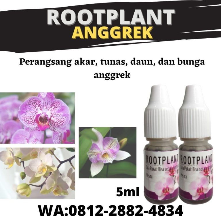 Limited, 0812-2882-4834, Distributor Pupuk Untuk Anggrek Bulan Progo, Harga Pupuk Untuk Anggrek Seedling Gunungkidul, Produsen Pupuk Untuk Anggrek Cepat Berbunga Kulon Progo