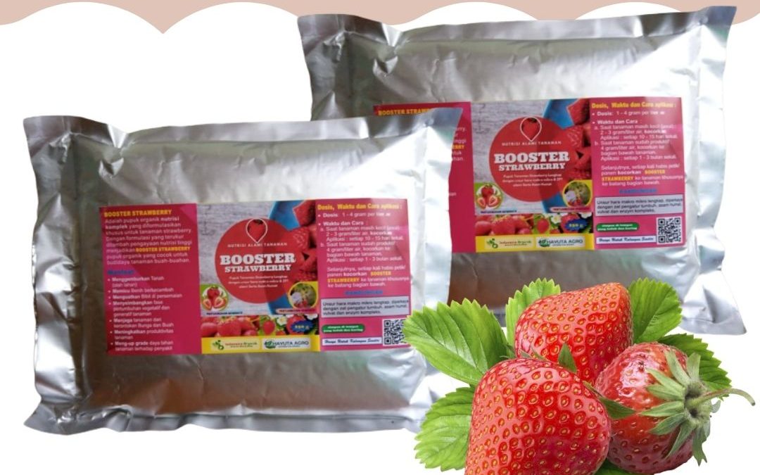 AMANAH, 0812-2882-4834, Grosir Pupuk Strawberry Anti Rontok Semarang, Toko Pupuk Perangsang Bunga Buah Strawberry Brebes, Pusat Booster Strawberry Cilacap
