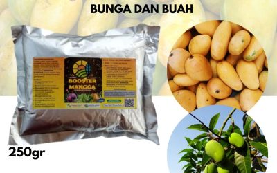 TERPERCAYA, 0812-2882-4837, HARGA Pupuk Perangsang Buah Mangga Paser, PRODUSEN Pupuk Pelebat Buah Mangga Tana Paser, GROSIR Pupuk Pembesar Buah Mangga
