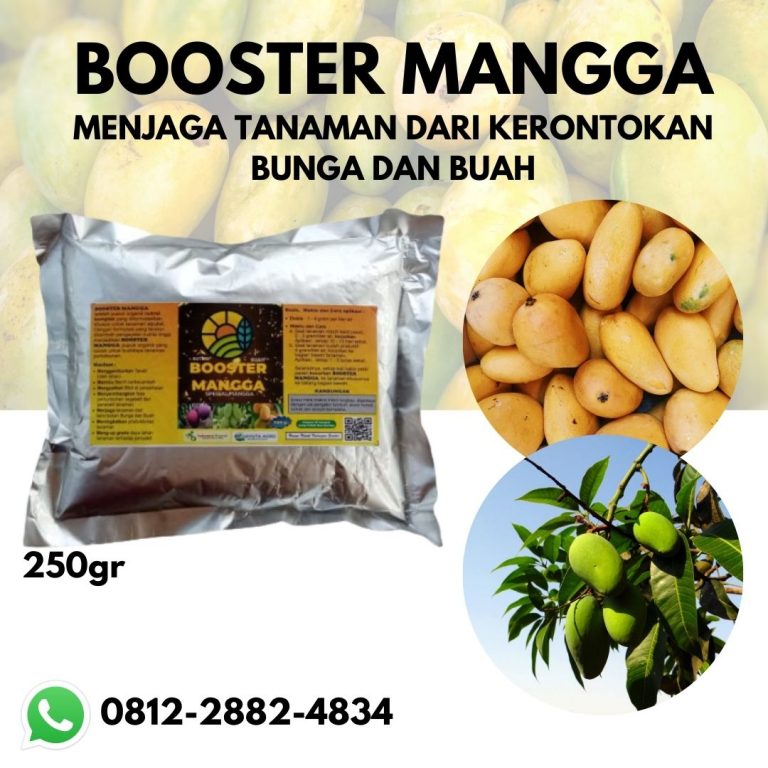 TERPERCAYA, 0812-2882-4837, HARGA Pupuk Perangsang Buah Mangga Paser, PRODUSEN Pupuk Pelebat Buah Mangga Tana Paser, GROSIR Pupuk Pembesar Buah Mangga