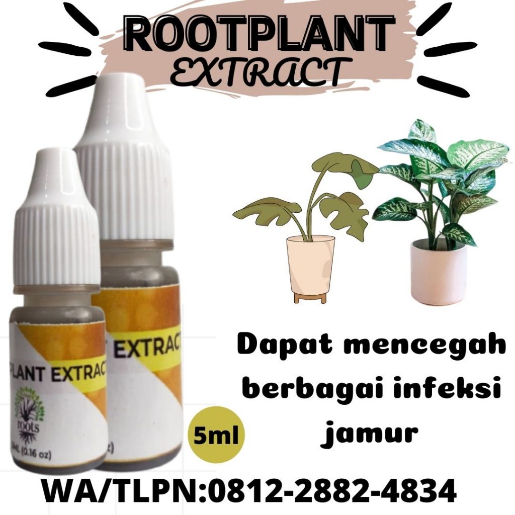  Harga Nutrisi Untuk Tanaman Hias Palangkaraya, Produsen Pupuk Tanaman Hias Daun Kotawaringin Barat, Grosir Pupuk Untuk Tanaman Hias Indoor Pangkalan Bun, Pabrik Pupuk Nutrisi Tanaman Hias Bunga Kotawaringin Timur, Murah Pupuk Nutrisi Untuk Tanaman Hias Gantung Sampit, Diskon Pupuk Hormon Tanaman Hias Batang Kapuas, Tempat Pupuk Tanaman Hias Ekor Tupai Kuala Kapuas, Toko Pupuk Untuk Tanaman Hias Episcia Barito Selatan, Asli Pupuk Nutrisi Tanaman Hias Ekor Kucing Buntok, Beli Pupuk Nutrisi Untuk Tanaman Hias Ekor Merak Barito Utara