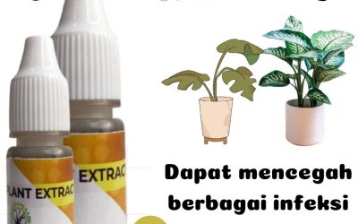 Limited, 0812-2882-4834, Harga Nutrisi Untuk Tanaman Hias Palangkaraya, Produsen Pupuk Tanaman Hias Daun Kotawaringin Barat, Grosir Pupuk Untuk Tanaman Hias Indoor Pangkalan Bun