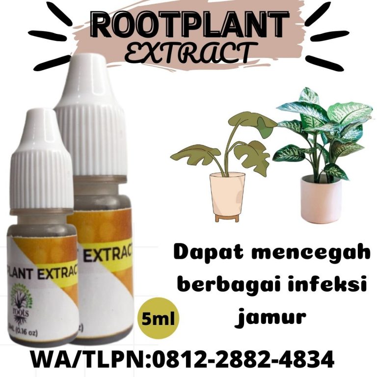 Limited, 0812-2882-4834, Harga Nutrisi Untuk Tanaman Hias Palangkaraya, Produsen Pupuk Tanaman Hias Daun Kotawaringin Barat, Grosir Pupuk Untuk Tanaman Hias Indoor Pangkalan Bun