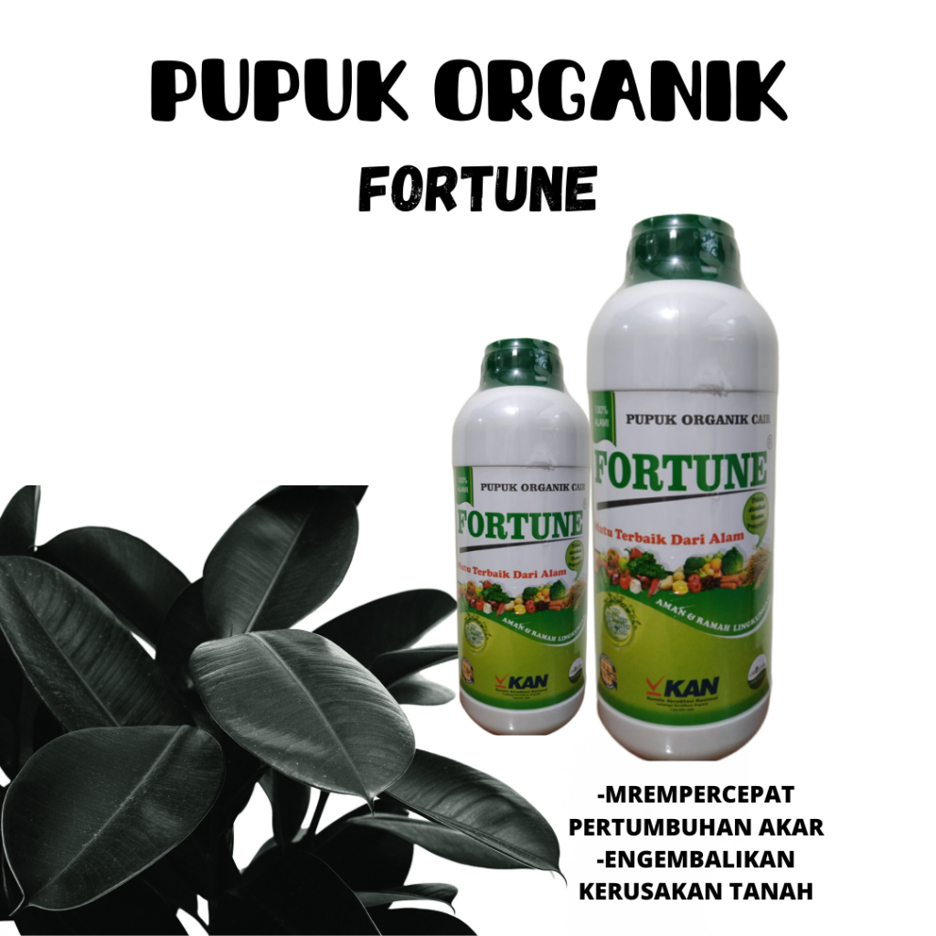 Hari Ini, 0812-2882-4834, Agen Pupuk Karet Mati Getah Palembang, Distributor Pupuk Karet Muda Banyuasin, Harga Pupuk Karet Masa Pertumbuhan Pangkalan Balai, Produsen Pupuk Untuk Karet Mati Getah Empat Lawang, Grosir Pupuk Untuk Pohon Karet Muda Tebing Tinggi, Pabrik Pupuk Menanam Karet, Murah Pupuk Karet Organik Lahat, Diskon Pupuk Pohon Karet Muara Enim, Tempat Pupuk Pohon Karet Yang Bagus Musi Banyuasin, Toko Pupuk Untuk Karet Produksi Sekayu