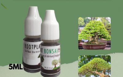 Online, 0812-2882-4834 Bandung, Asli Pupuk Untuk Tanaman Bonsai Kelapa Soreang, Beli Pupuk Buat Tanaman Bonsai Bandung Barat, Promo Pupuk Untuk Bonsai