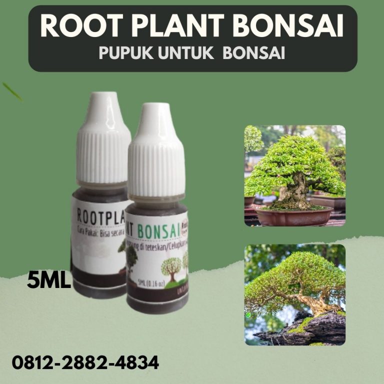 Online, 0812-2882-4834 Bandung, Asli Pupuk Untuk Tanaman Bonsai Kelapa Soreang, Beli Pupuk Buat Tanaman Bonsai Bandung Barat, Promo Pupuk Untuk Bonsai