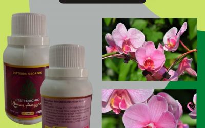 Limited, 0812-2882-4834, Jual Pembasmi Hama Tikus Bantul,Agen Pembasmi Hama Kutu Putih Gunungkidul ,Distributor Pembasmi Hama Tanaman Alami Kulon Progo