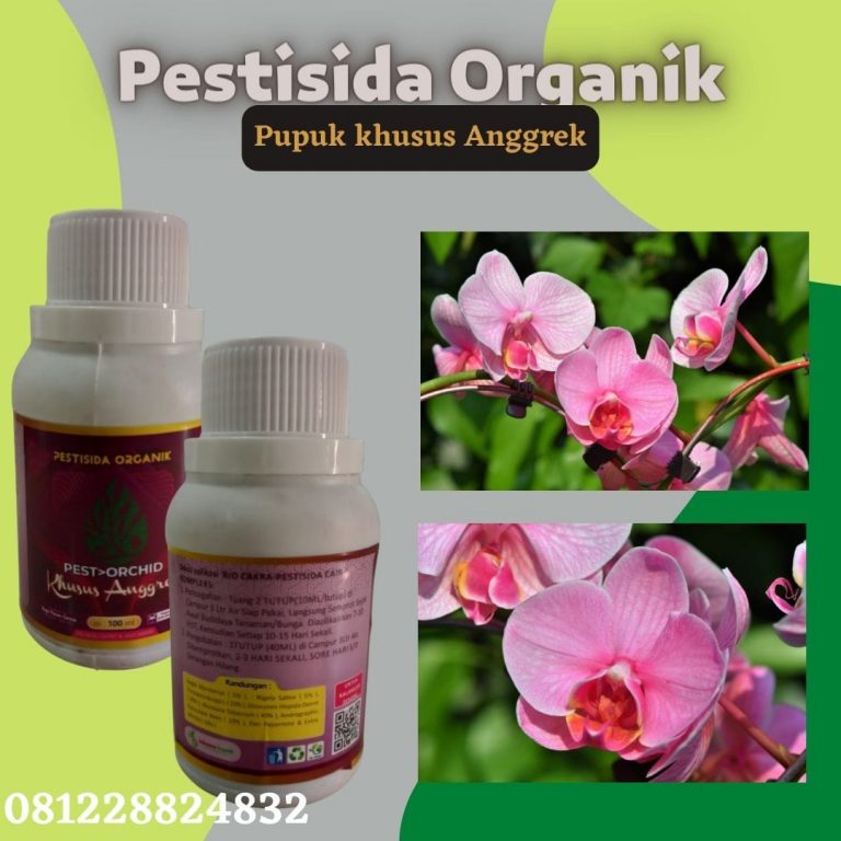 Limited, 0812-2882-4834, Jual Pembasmi Hama Tikus Bantul,Agen Pembasmi Hama Kutu Putih Gunungkidul ,Distributor Pembasmi Hama Tanaman Alami Kulon Progo
