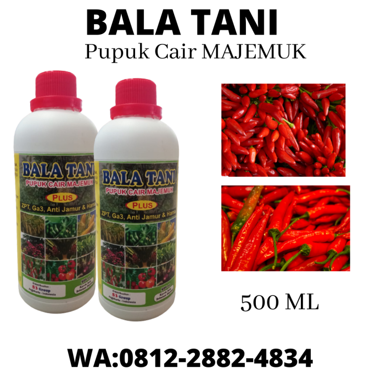BIG SALE, 0812-2882-4834, Jual Pupuk Buah Cabe Terbaik  Padang, Jual Pupuk Buah Cengkeh Painan, Agen Pupuk Buah Cempedak Sijunjung