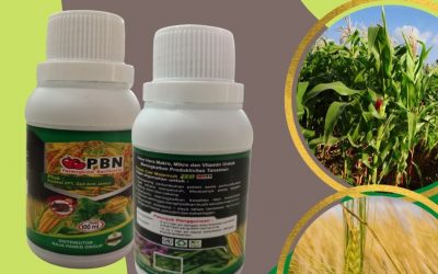 Limited, 0812-2882-4834 Mataram, Jual Pupuk Untuk Sawi Lombok Barat, Agen Pupuk Untuk Seledri Gerung, Distributor Pupuk Untuk Semangka