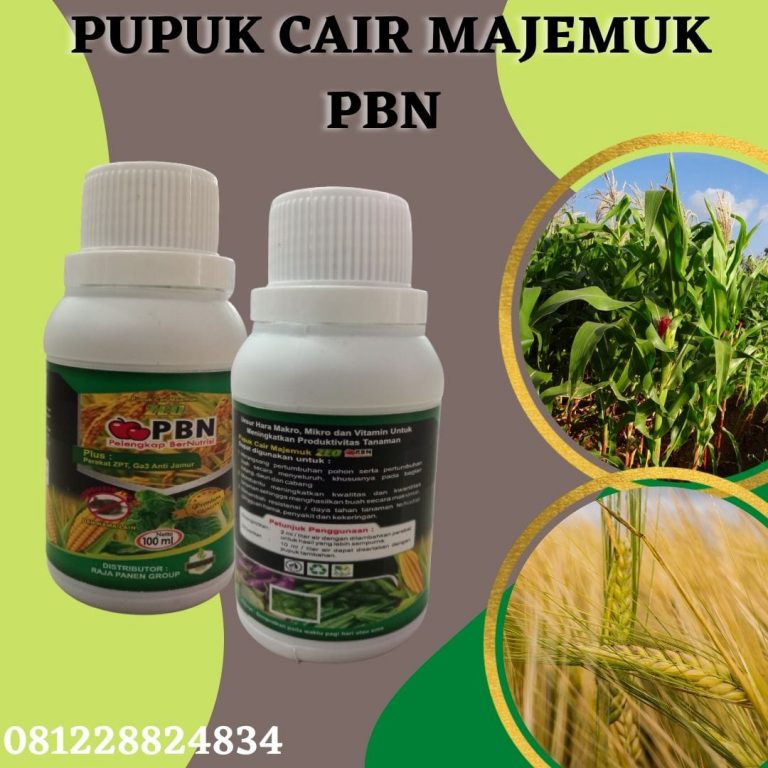 Limited, 0812-2882-4834 Mataram, Jual Pupuk Untuk Sawi Lombok Barat, Agen Pupuk Untuk Seledri Gerung, Distributor Pupuk Untuk Semangka