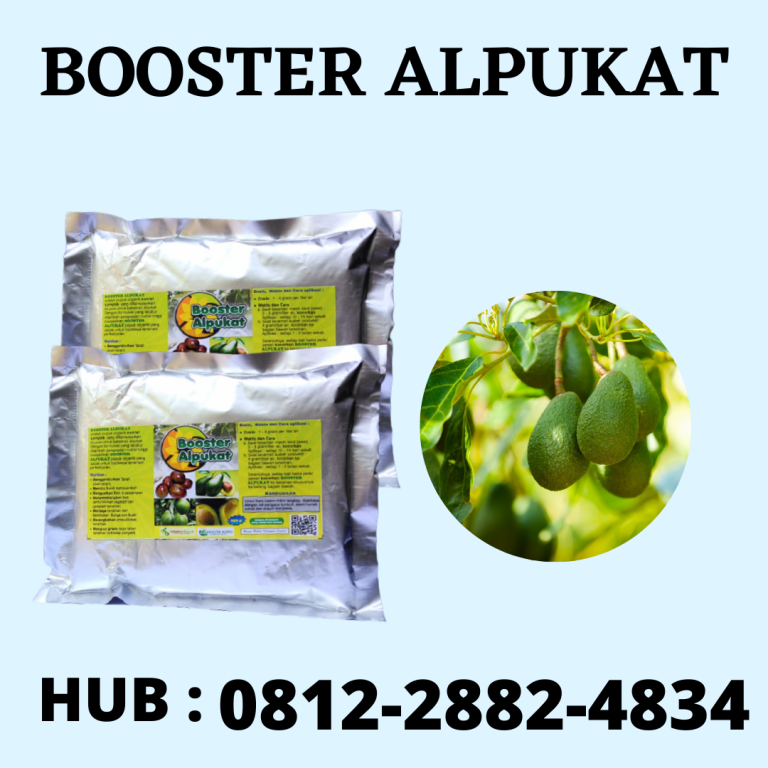 Murah, 0812-2882-4834, Harga Pupuk Alpukat Cepat Berbuah Bengkulu Selatan, Produsen Pupuk Alpukat Aligator Kota Manna, Grosir Pupuk Alpukat Agar Cepat Besar Rejang Lebong