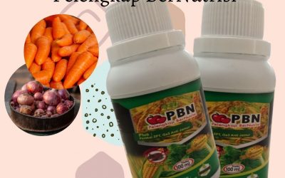 Agraria, 0812-2882-4834, Grosir Pupuk Untuk Membesarkan Umbi Bawang Merah Tembilahan, Pabrik Pupuk Pembesar Umbi Wortel Pelalawan, Murah Pupuk Untuk Bawang Merah Pangkalan Kerinci