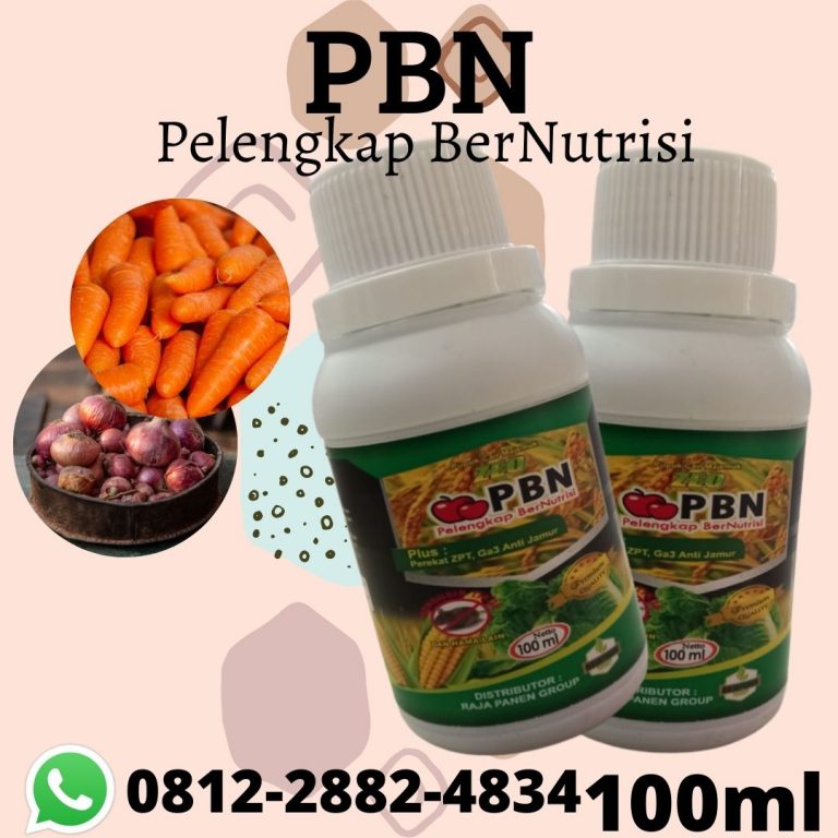 Agraria, 0812-2882-4834, Grosir Pupuk Untuk Membesarkan Umbi Bawang Merah Tembilahan, Pabrik Pupuk Pembesar Umbi Wortel Pelalawan, Murah Pupuk Untuk Bawang Merah Pangkalan Kerinci