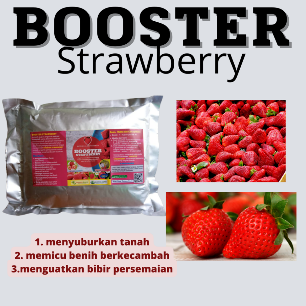 ONLINE, 0812-2882-4834, Pabrik Pupuk Agar Stroberi Berbuah Lebat, Grosir Pupuk Perangsang Buah Stroberi, Toko Pupuk Untuk Stroberi Agar Cepat Berbuah, Pusat Pupuk Agar Stroberi Cepat Besar, Asli Pupuk Buah Untuk Stroberi, Supplier Pupuk Penyubur Strawberry, Jual Pupuk Pemanis Strawberry, Jual Pupuk Untuk Pohon Strawberry, Agen Pupuk Tanaman Strawberry, Distributor Pupuk Buat Tanaman Strawberry