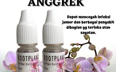 Organik, 0812-2882-4834, Toko Pupuk Untuk Akar Anggrek Semarang, Asli Jenis Pupuk Untuk Anggrek Agar Cepat Berbunga Brebes, Beli Pupuk Anggrek Agar Subur Cilacap
