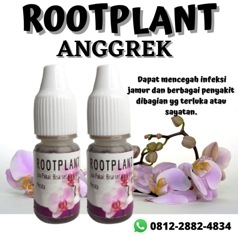 Organik, 0812-2882-4834, Toko Pupuk Untuk Akar Anggrek Semarang, Asli Jenis Pupuk Untuk Anggrek Agar Cepat Berbunga Brebes, Beli Pupuk Anggrek Agar Subur Cilacap