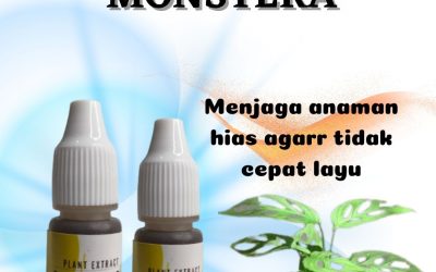 Organik, 0812-2882-4834, Toko Pupuk Varigata Organik, 0812-2882-4834, Toko Pupuk Varigata Soreang, Asli Pupuk Untuk Tanaman Varigata, Beli Pupuk Untuk Varigata, Promo Pupuk Monstera Variegata Bandung Barat