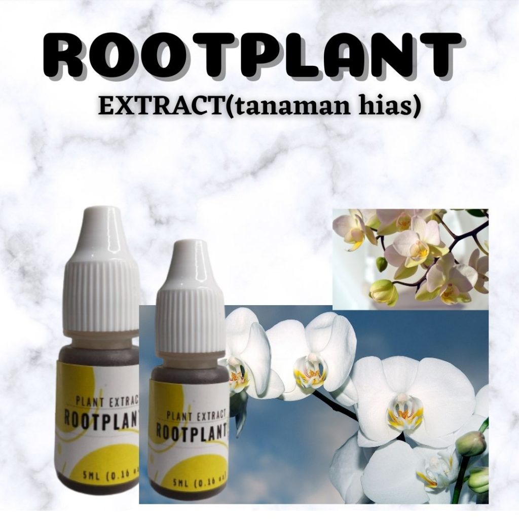 Organik, 0812-2882-4834, Asli Pupuk Nutrisi Tanaman Hias Ekor Kucing Semarang, Beli Pupuk Nutrisi Untuk Tanaman Hias Ekor Merak Brebes, Jual Pupuk Hormon Tanaman Hias Janda Bolong Cilacap, Agen Pupuk Tanaman Hias Keladi Demak, Distributor Pupuk Untuk Tanaman Hias Kaktus Purwodadi, Harga Pupuk Nutrisi Tanaman Hias Lidah Mertua Jepara, Produsen Pupuk Nutrisi Untuk Tanaman Hias Lili Paris Semarang, Grosir Pupuk Hormon Tanaman Hias Lavender Grobogan, Pabrik Pupuk Tanaman Hias Lidah Buaya Kebumen, Murah Pupuk Bunga Mawar Kendal