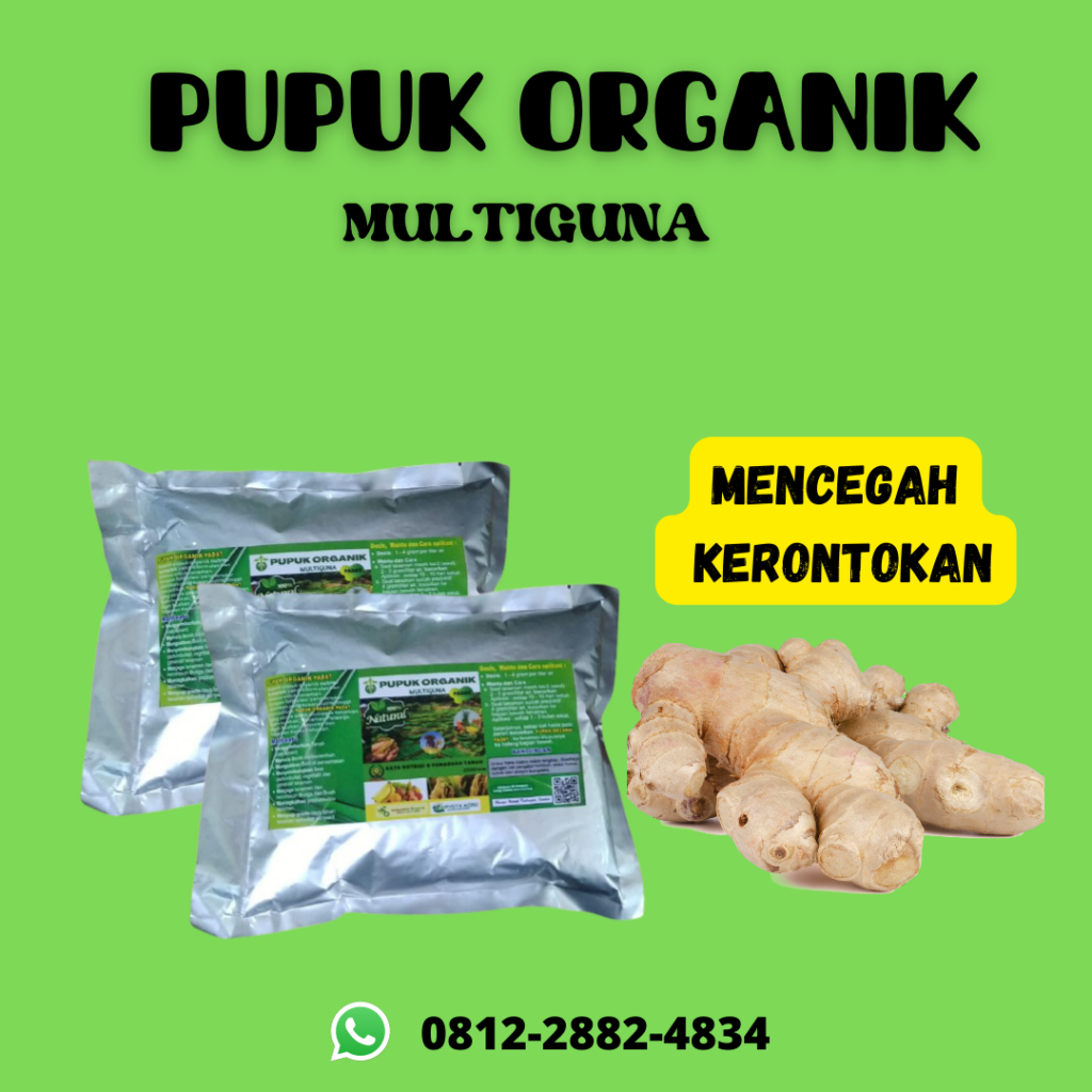 Penawaran, 081228824834, Agen Pupuk Jahe Sunti, Distributor Pupuk Semai Jahe Padang, Harga Pupuk Jahe Terbaik, Agen Pupuk Jahe Sunti Painan, Distributor Pupuk Semai Jahe Sijunjung, Harga Pupuk Jahe Terbaik Muaro Sijunjung, Produsen Pupuk Tanaman Jahe Tanah Datar, Grosir Pupuk Tanam Jahe, Pabrik Pupuk Untuk Tanaman Jahe Merah Padang Pariaman, Murah Pupuk Buat Tanaman Jahe Parit Malintang, Diskon Pupuk Buat Tanaman Jahe Merah Agam, Tempat Pupuk Penyubur Tanaman Jahe Lubuk Basung, Toko Pupuk Umbi Jahe Lima Puluh Kota