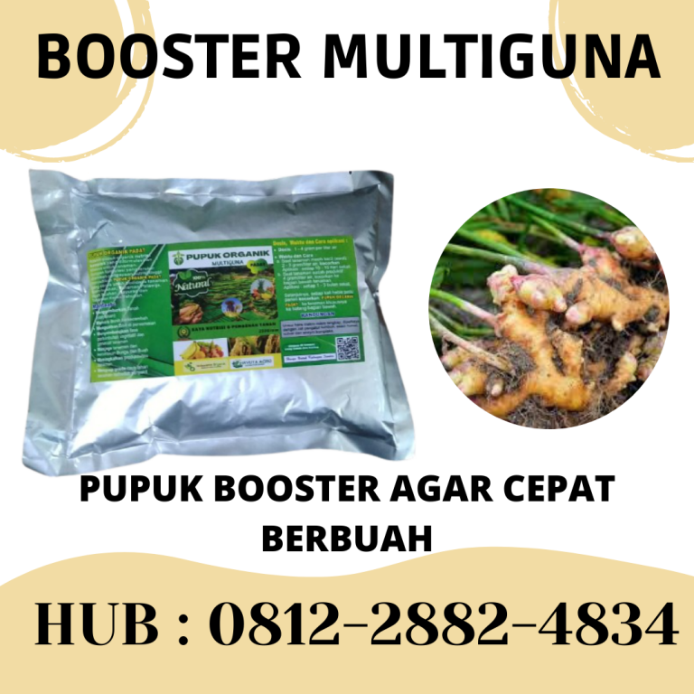 Penawaran, 081228824834, Harga Pupuk Jahe Masa Vegetatif  Medan, Produsen Pupuk Jahe Paling Bagus Tapanuli Tengah, Grosir Pupuk Jahe Emprit Pandan