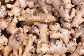 Penawaran, 081228824834, Harga Pupuk Jahe Masa Vegetatif  Medan, Produsen Pupuk Jahe Paling Bagus Tapanuli Tengah, Grosir Pupuk Jahe Emprit Pandan