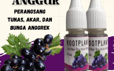 Subur, 0812-2882-4834, Produsen Pupuk Khusus Tanaman Anggur Semarang, Pabrik Pupuk Alami Tanaman Anggur Brebes, Jual Pupuk Generatif Tanaman Anggur Cilacap