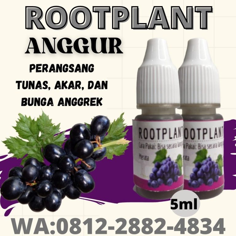 Subur, 0812-2882-4834, Produsen Pupuk Khusus Tanaman Anggur Semarang, Pabrik Pupuk Alami Tanaman Anggur Brebes, Jual Pupuk Generatif Tanaman Anggur Cilacap