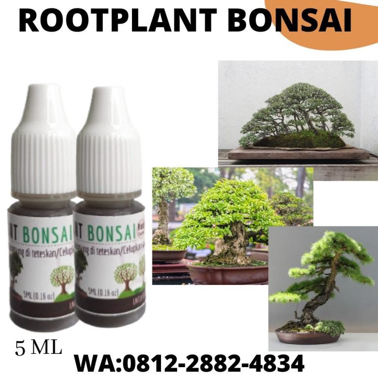 Subur, 0812-2882-4834, Produsen Pupuk Mempercepat Pertumbuhan Bonsai Bandung, Grosir Pupuk Alami Penyubur Bonsai Soreang, Pabrik Pupuk Alami Penyubur Bonsai Kelapa Bandung Barat