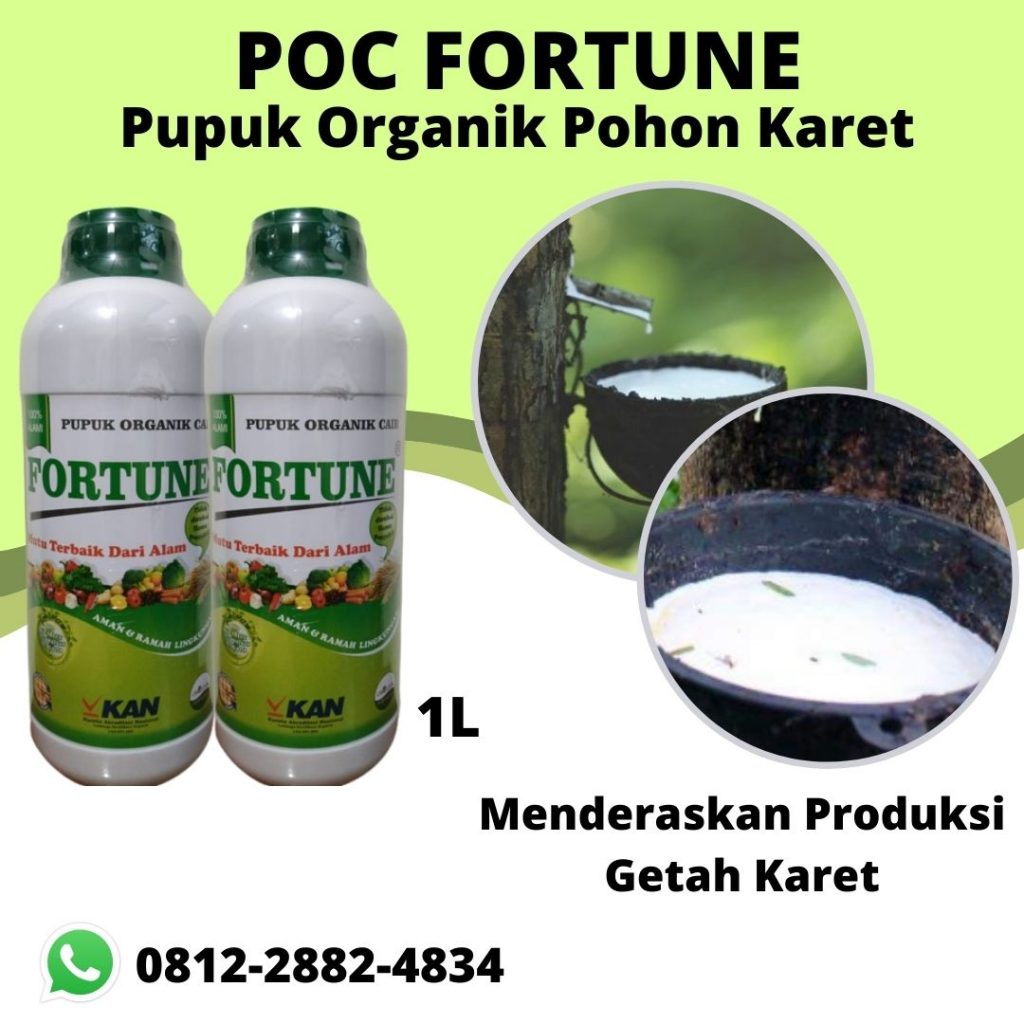 Promo Pupuk Buat Karet Pekan Baru, Jual Pupuk Karet Cair Kampar, Agen Pupuk Karet Cepat Besar Bangkinang, Distributor Pupuk Cair Untuk Tanaman Karet Indragiri Hulu