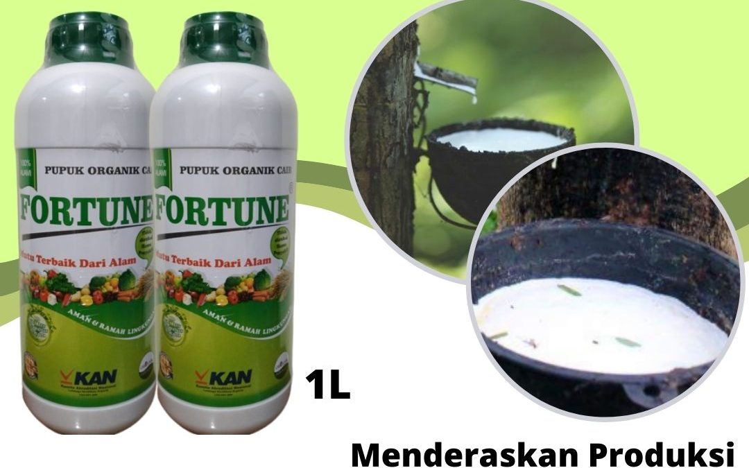 Online, 0812-2882-4834, Promo Pupuk Buat Karet Pekan Baru, Jual Pupuk Karet Cair Kampar, Agen Pupuk Karet Cepat Besar Bangkinang