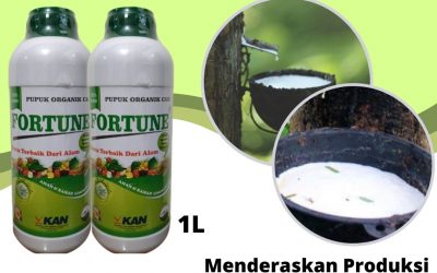 Online, 0812-2882-4834, Promo Pupuk Buat Karet Pekan Baru, Jual Pupuk Karet Cair Kampar, Agen Pupuk Karet Cepat Besar Bangkinang