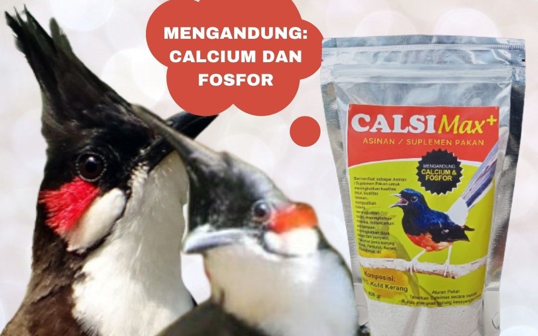 SPESIAL, 0812-2882-4834, Pusat Calsimax Pakan Tinggi Kalsium Burung Untuk Kacer Soreang, Asli Calsimax Suplemen High Calcium Burung Untuk Lovebird Bandung Barat, Supplier Calsimax Pakan Khusus Burung Burung Untuk Pleci Ngamprah