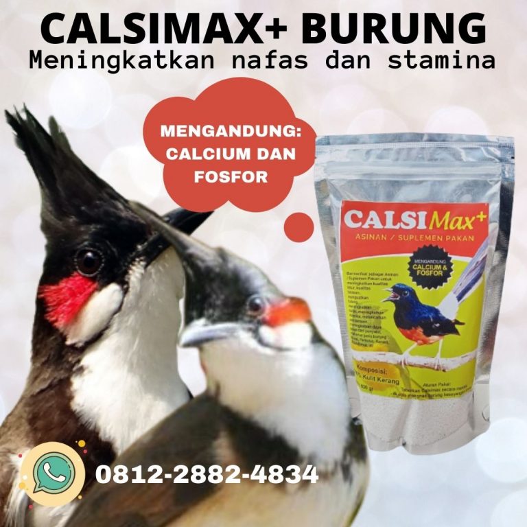 SPESIAL, 0812-2882-4834, Pusat Calsimax Pakan Tinggi Kalsium Burung Untuk Kacer Soreang, Asli Calsimax Suplemen High Calcium Burung Untuk Lovebird Bandung Barat, Supplier Calsimax Pakan Khusus Burung Burung Untuk Pleci Ngamprah