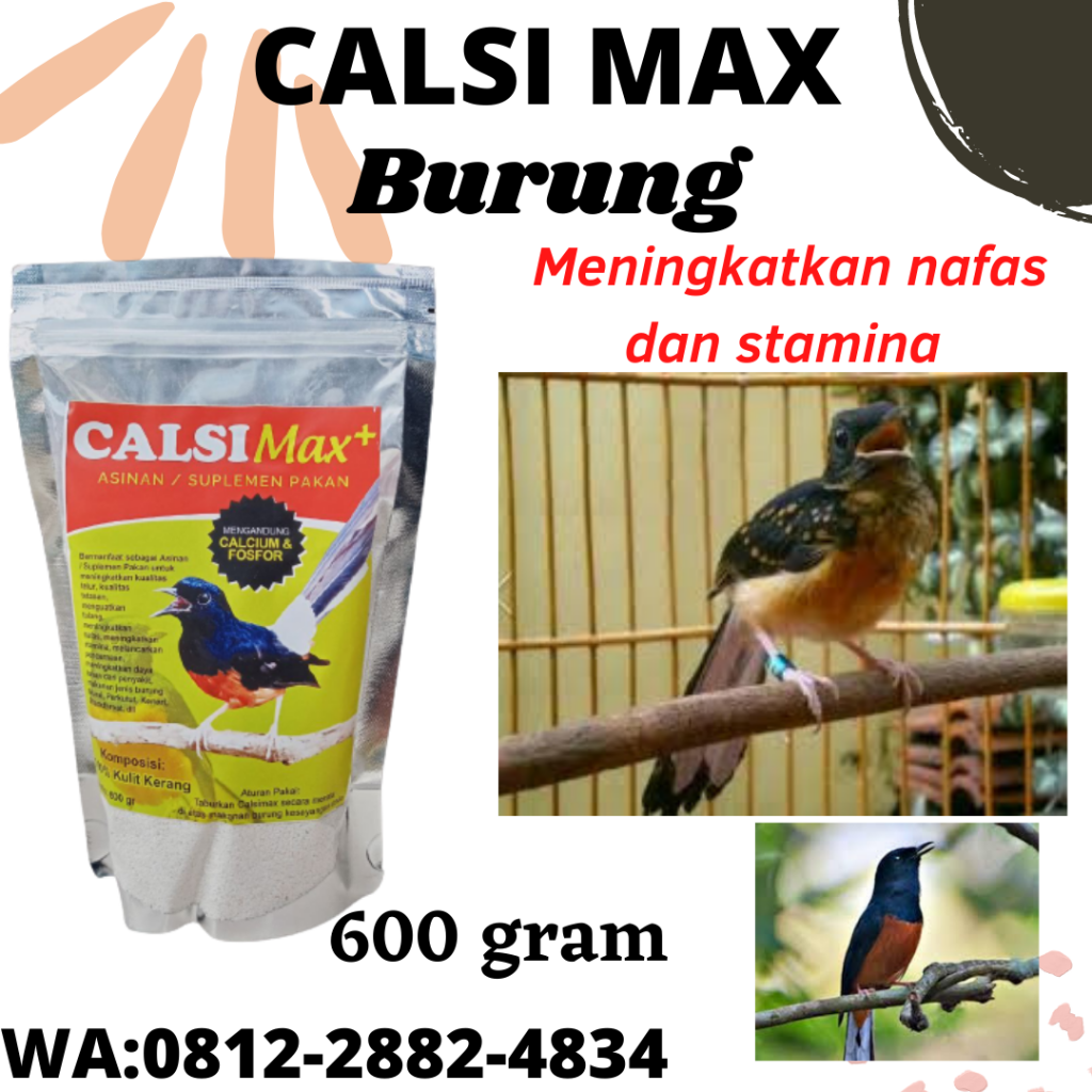 SUBUR, 0812-2882-4834, Pusat Calsimax Suplemen Kalsium Burung Murai Trotol Surabaya, Asli Calsimax Suplemen Calcium Burung Murai Biar Gacor Bangkalan, Supplier Calsi Max Suplemen Pakan Burung Murai Batu Banyuwangi