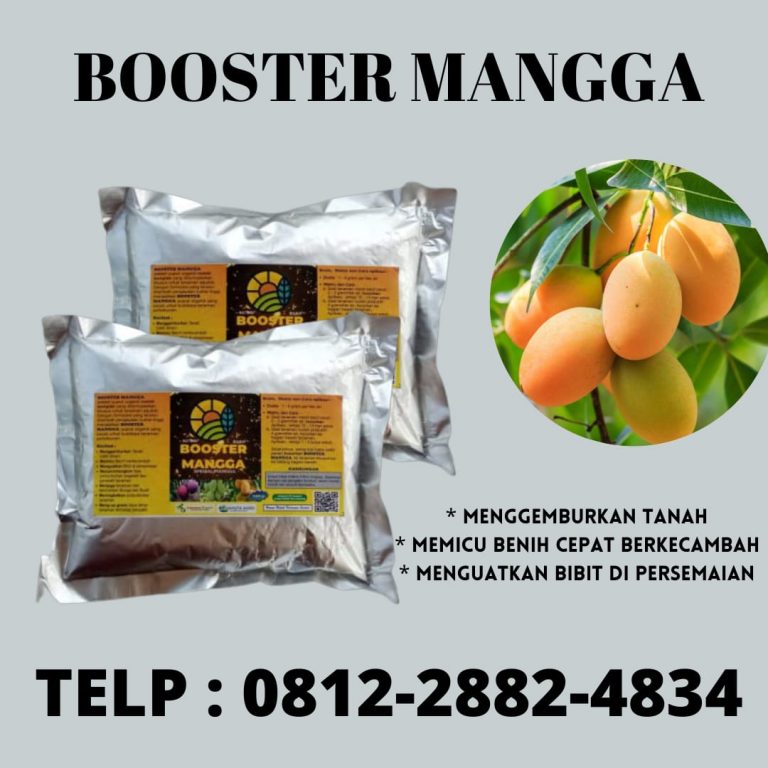 SUBUR, 0812-2882-4840, PABRIK Pupuk Buah Mangga Agar Berbuah Lebat Pekan Baru, MURAH Pupuk Pohon Mangga Agar Cepat Besar Kampar, DISKON Pupuk Agar Buah Mangga Manis Bangkinang