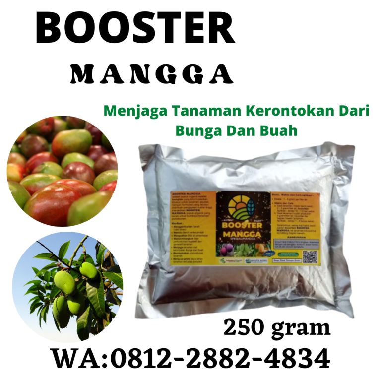 SUBUR, 0812-2882-4890, PABRIK Pupuk Yang Tepat Untuk Mangga Pekan Baru, MURAH Pupuk Tanaman Bibit Mangga Kampar, DISKON Pupuk Alami Tanaman Mangga Bangkinang