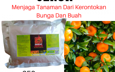 Subur, 0812-2882-4834, Jual Pupuk Untuk Bibit Jeruk  Padang, Agen Pupuk Booster Jeruk Painan, Distributor Pupuk Untuk Tanaman Jeruk Sijunjung