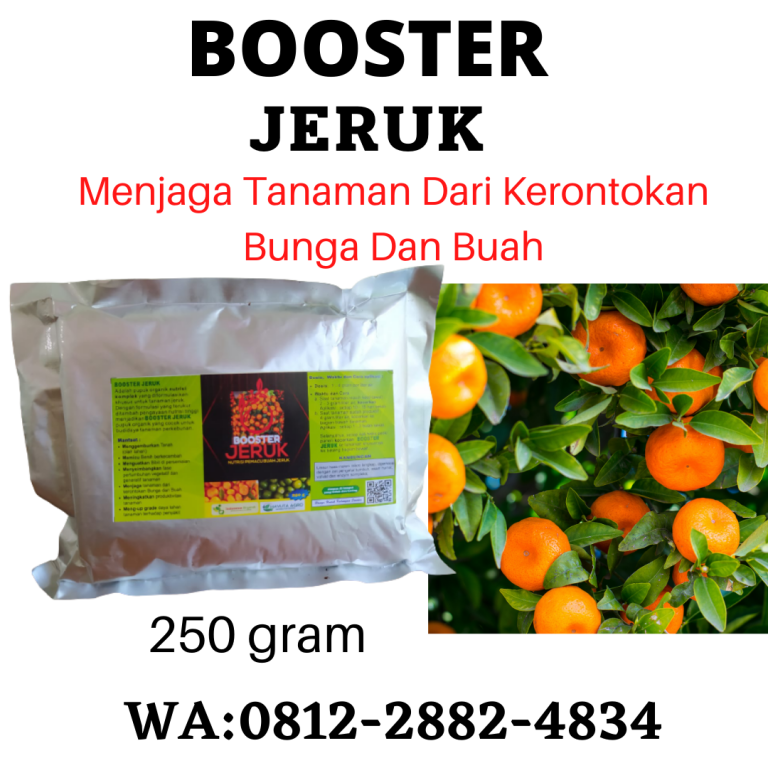 Subur, 0812-2882-4834, Jual Pupuk Untuk Bibit Jeruk  Padang, Agen Pupuk Booster Jeruk Painan, Distributor Pupuk Untuk Tanaman Jeruk Sijunjung
