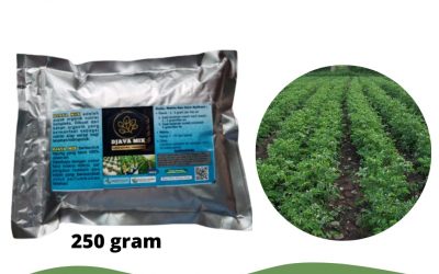 Subur, 0812-2882-4834, Pabrik Pupuk Hidroponik Cabe Jakarta, Murah Pupuk Cabai Hidroponik Jakarta Kota, Diskon Pupuk Hidroponik Untuk Cabe Jakarta Pusat