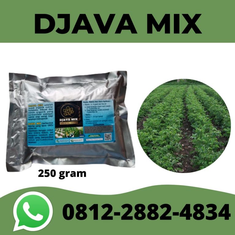 Subur, 0812-2882-4834, Pabrik Pupuk Hidroponik Cabe Jakarta, Murah Pupuk Cabai Hidroponik Jakarta Kota, Diskon Pupuk Hidroponik Untuk Cabe Jakarta Pusat