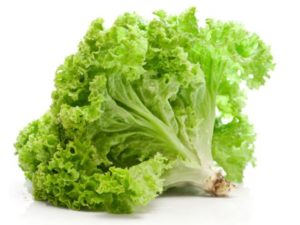 Subur, 0812-2882-4834, Pabrik Pupuk Hidroponik Cabe Jakarta, Murah Pupuk Cabai Hidroponik Jakarta Kota, Diskon Pupuk Hidroponik Untuk Cabe Jakarta Pusat