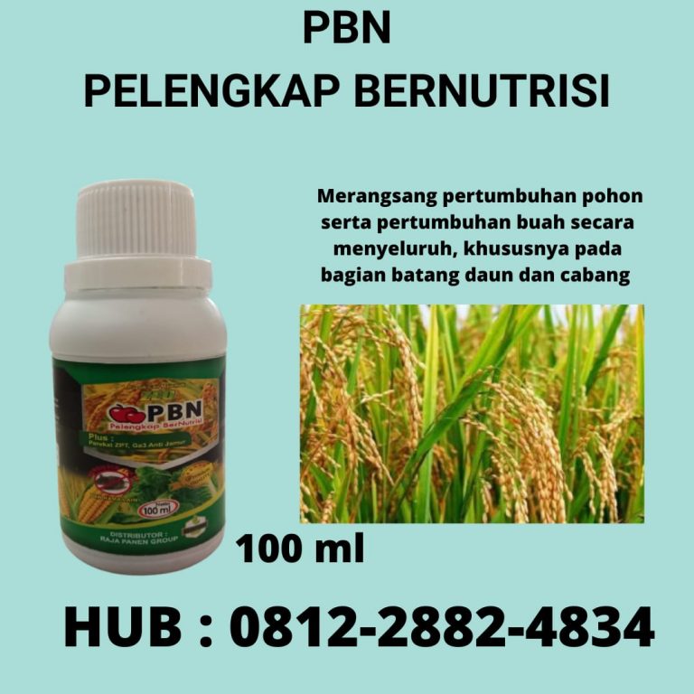 Subur, 0812-2882-4834, Pabrik Pupuk Pembesar Umbi Bawang Manado, Murah Pupuk Pembesar Umbi Bawang Merah Terbaik Bolaang Mongondow, Diskon Pupuk Memperbesar Umbi Bawang Merah Minahasa
