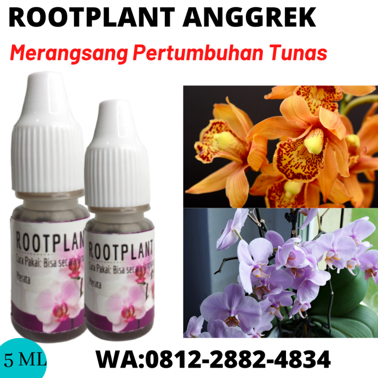 Subur, 0812-2882-4834, Produsen Pupuk Buat Anggrek Cepat Berbunga Soreang, Grosir Pupuk Buat Anggrek Bulan Bandung Barat, Pabrik Pupuk Buat Anggrek Biar Cepat Berbunga Ngamprah