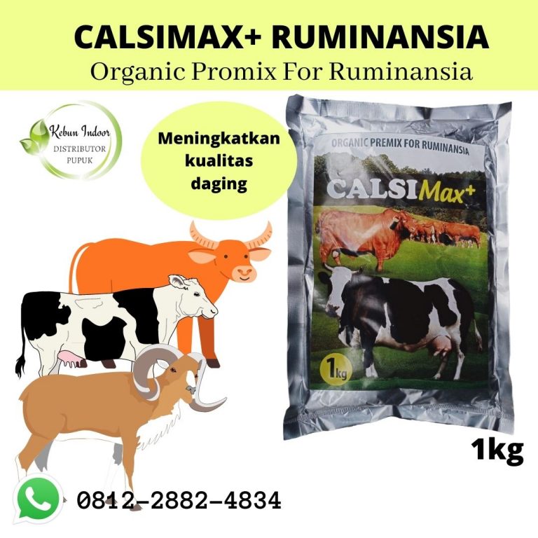 ONLINE, 0812-2882-4834, Supplier Suplemen Sapi Cepat Gemuk  Bintan, Jual Suplemen Kalsium Sapi Bandar Seri Bentan, Jual Suplemen Sapi Biar Dokoh Makan Karimun
