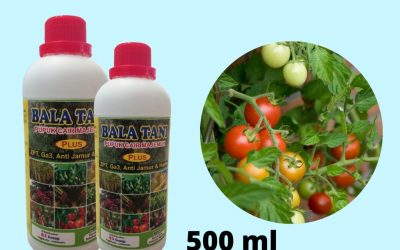 TERBARU, 0812-2882-4834, Grosir Pupuk Cair Tanaman Hias Terbaik Palu, Toko Pupuk Cair Terbaik Untuk Jagung Banggai, Pusat Pupuk Cair Terbaik Untuk Padi Luwuk