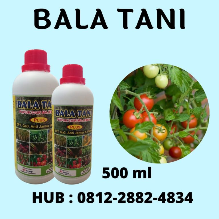 TERBARU, 0812-2882-4834, Grosir Pupuk Cair Tanaman Hias Terbaik  Palu, Toko Pupuk Cair Terbaik Untuk Jagung Banggai, Pusat Pupuk Cair Terbaik Untuk Padi Luwuk